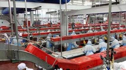 农产品增值税税务处理全解析 政策要点与实务操作指南